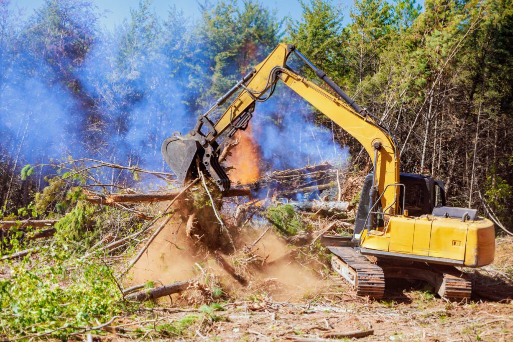 land clearing texas
