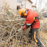 Emergency Vegetation Removal